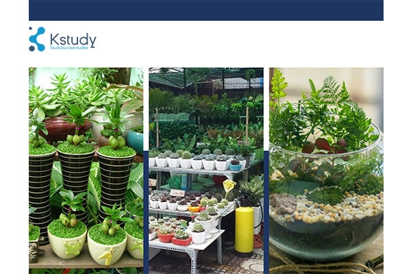 Kinh doanh cây cảnh mini