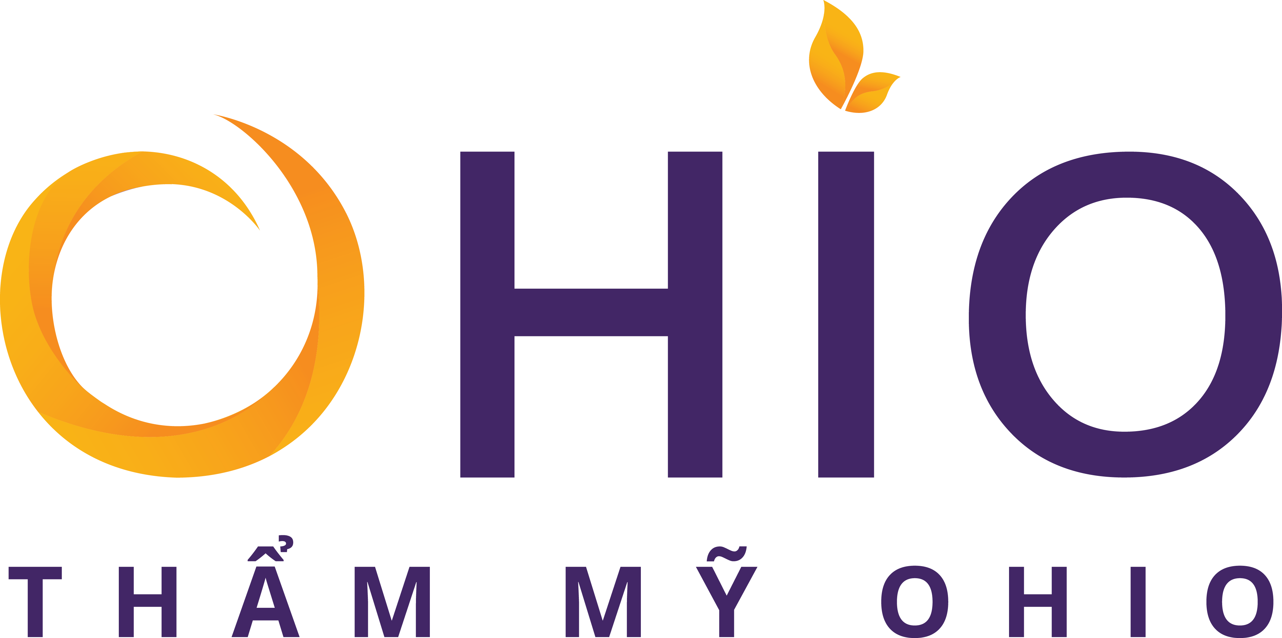 Logo ohio 05
