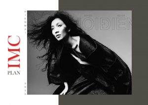 Môi điên imc plan-1