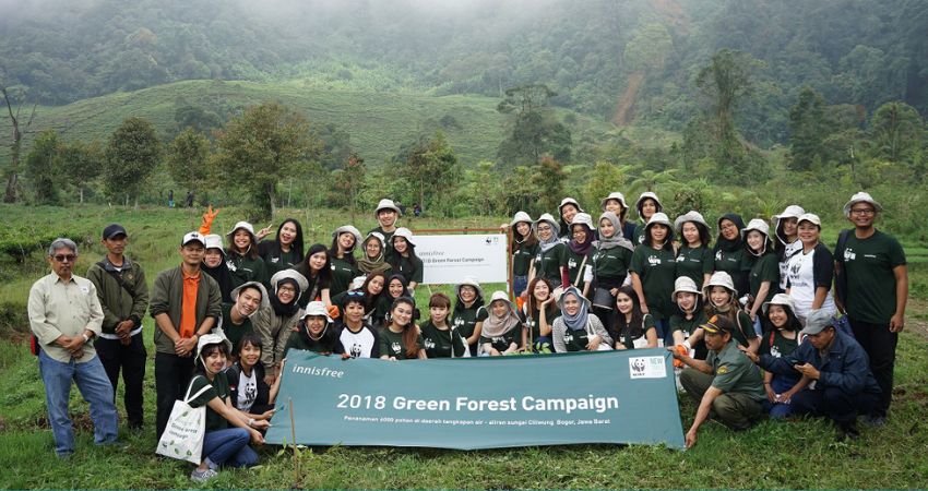 Hoat-dong-bao-ve-rung-toan-cau