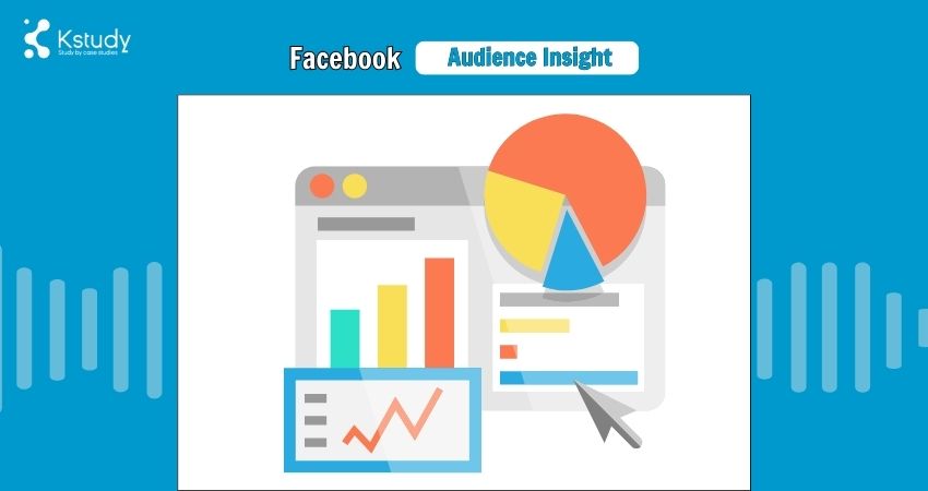 facebook-audience Insight-la-gi