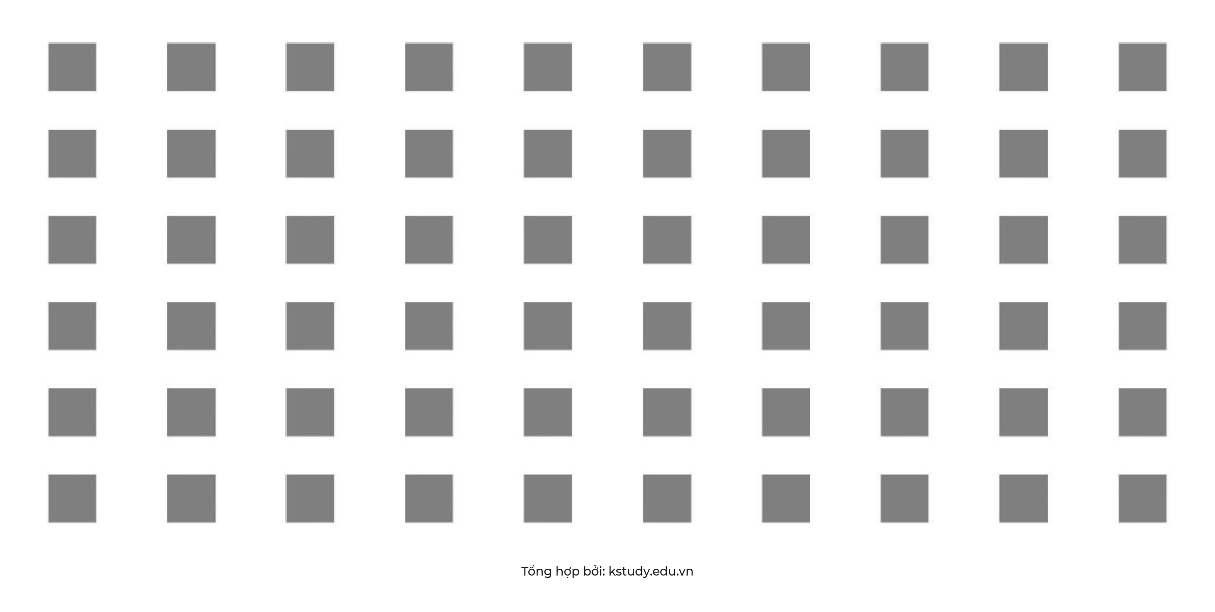 Nguyentacthigiac kstudy 01