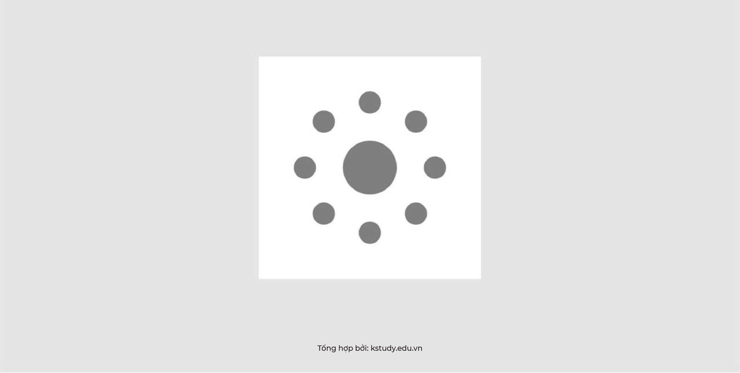 Nguyentacthigiac kstudy 03