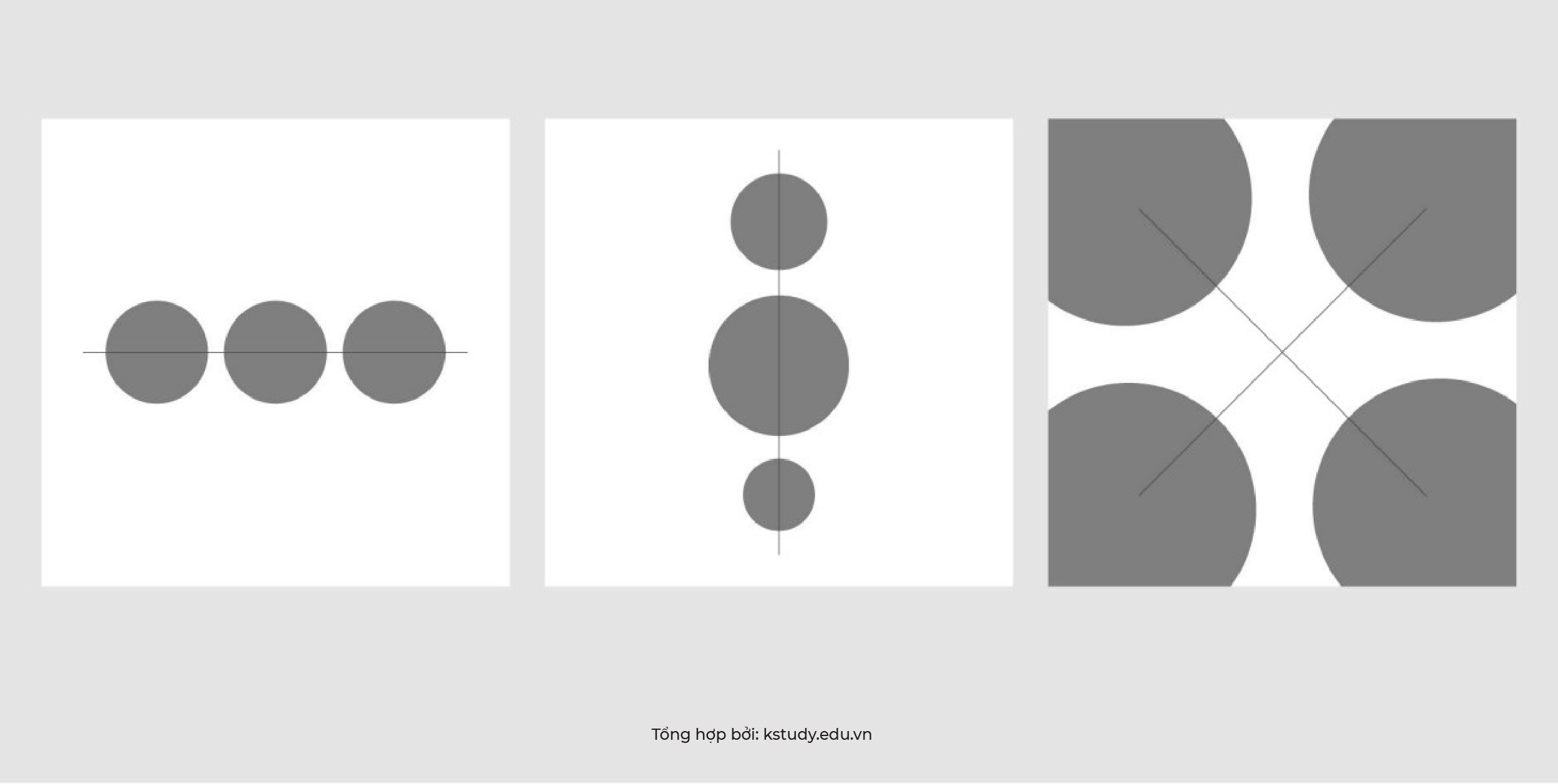 Nguyentacthigiac kstudy 09