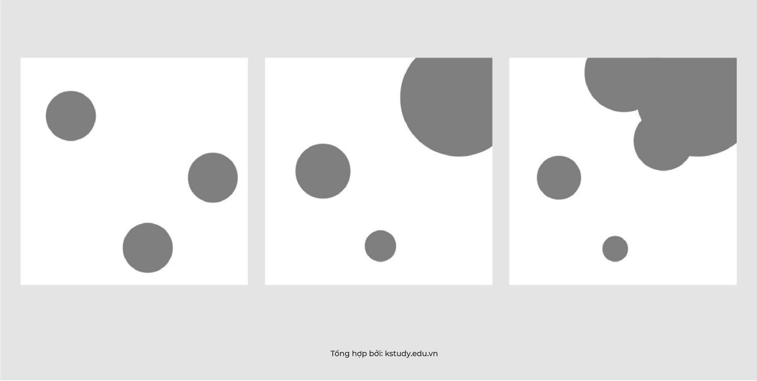Nguyentacthigiac kstudy 12