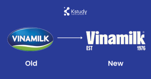 Cách chuyển đổi Insight khách hàng thành ý tưởng kinh doanh chiến lược 4 edit 03