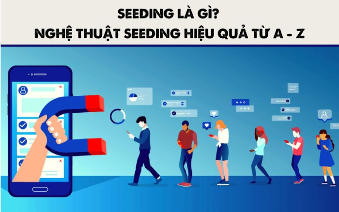 Seeding là gì, cách quảng cáo cho người mới